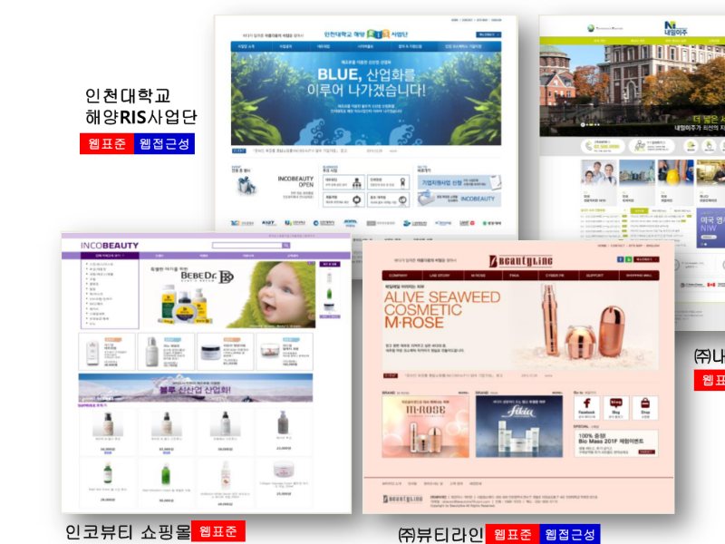 웹사이트 구축 · 유지보수(웹표준 · 웹접근성)